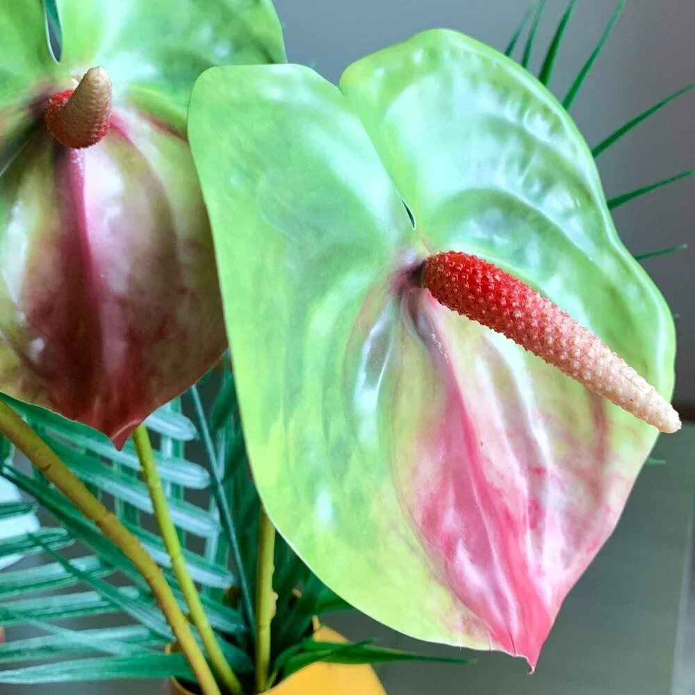 Gorgeous 3 Stems 22.5